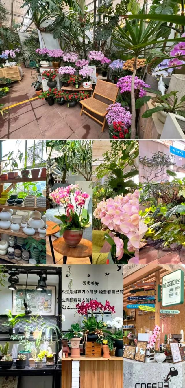 有一种烟火气叫“罗庄大集”，「美食+美景」全攻略