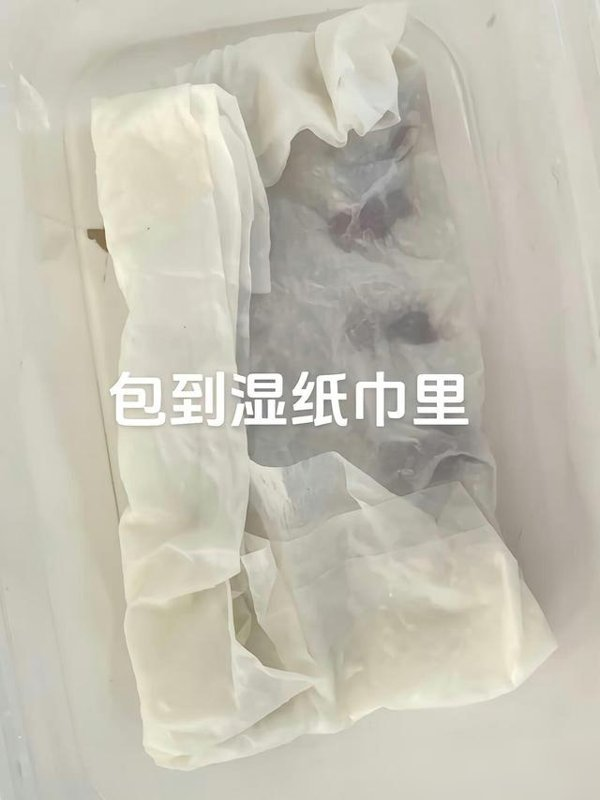 福建一姑娘把“荔枝核”泡水里，两周长成“粉盆栽”，太治愈了