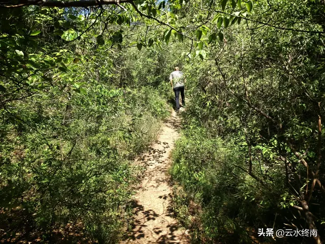 邱祖驻足的青崖洞“低头吸腹夹破头”：除了洞连洞还有“一线天”