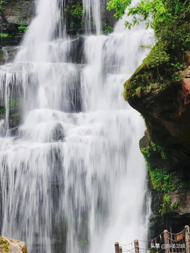 “两山”理念20年丨成都天台山：擦亮萤火虫IP，生态保护与经济效益双丰收‌