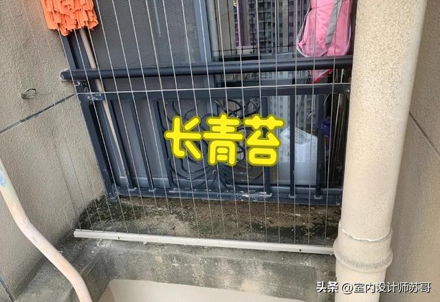 今明两年，买房请牢记这7个字：“买中、买大、不买四”！