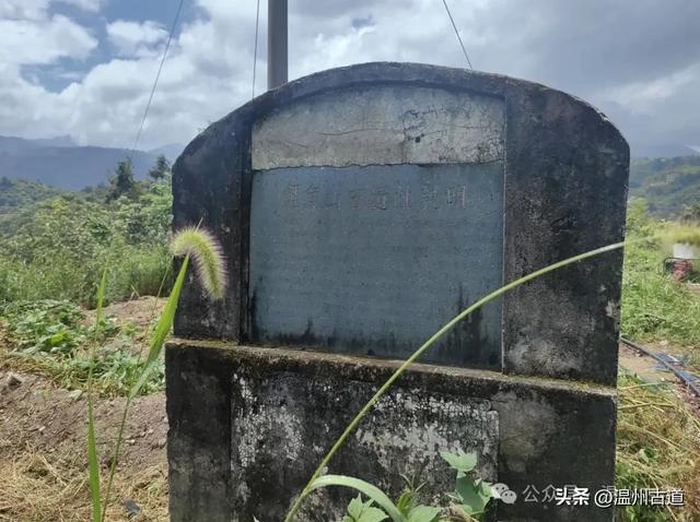 这里曾有最古老的水运历史、最繁华的商埠老街和新石器时代遗址！