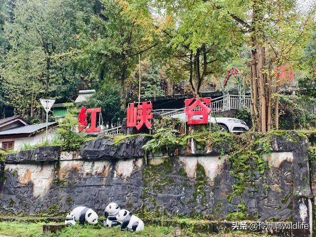 四川行(73)什邡红枫岭徒步到钟鼎寺