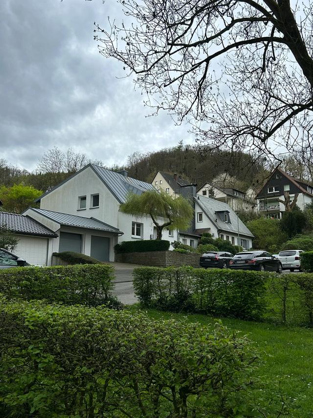 《 再见,德国 》