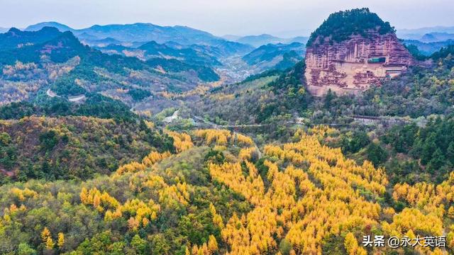 初中英语词汇教学的创新性优化策略探究