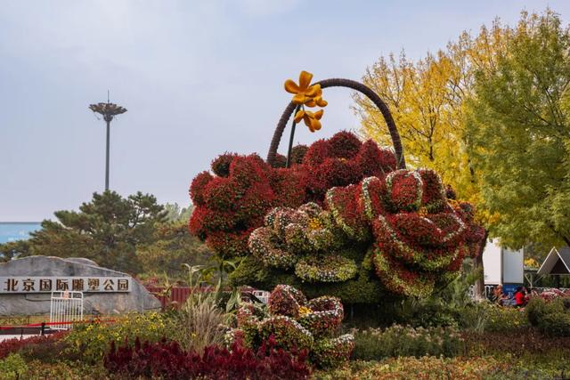 收藏一个秋天，石景山绝美秋色大公开
