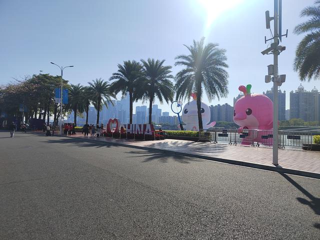 花城看花看灯饰