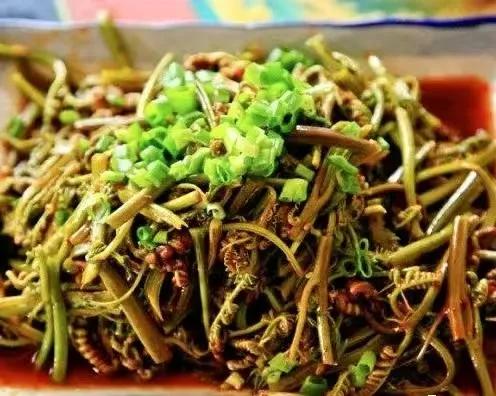走进宕昌，美好如约而至