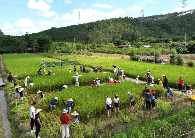 太惊喜！肇庆首届研学精品线路正式发布，每条都想打卡↘