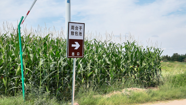 只留回忆 不留痕迹——定边县盐场堡镇的绿色邀约