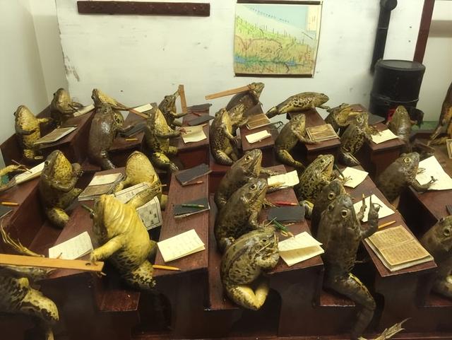 欧洲最怪博物馆：507只青蛙标本摆出人类姿势，像人一样“活着”