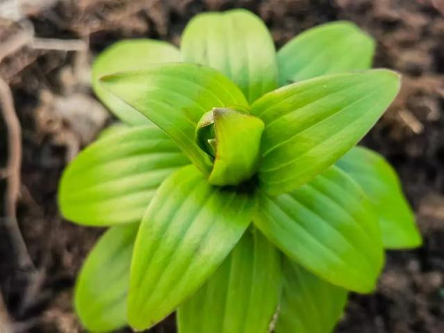 怀集的四季!带你回顾,带你深入