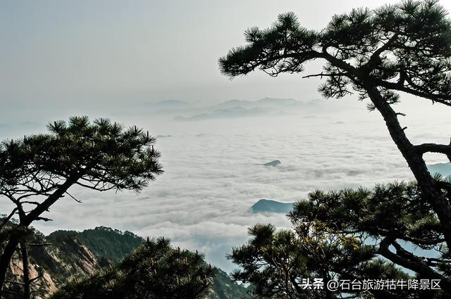 霜染西黄山，新岁诗意浓