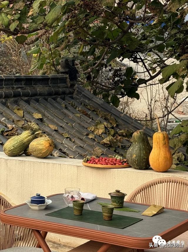 橙黄橘绿满山野，这场“捡秋”之旅别错过！