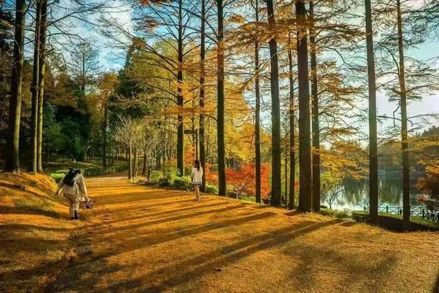 宁波秋季乡村游，魅力何在？