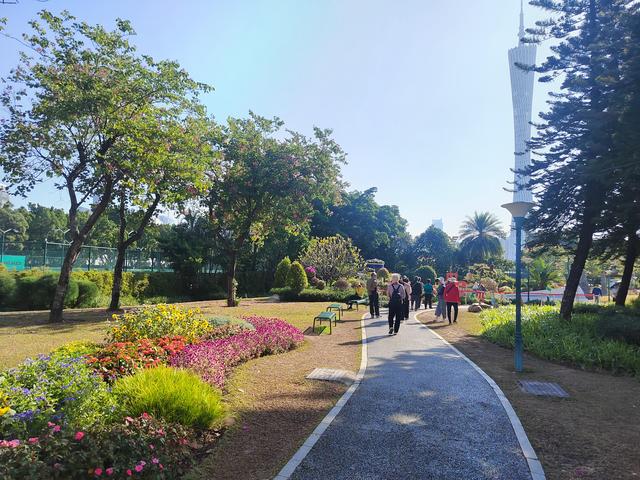 花城看花看灯饰