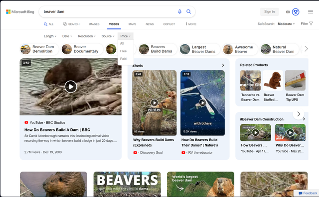 搜索引擎世纪大战：Bing vs Google，谁能抢到你浏览器地址栏的C位