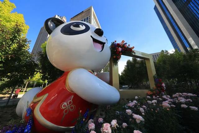 2026北京国际花展丨0元入场，10万平方米室外展区怎么玩
