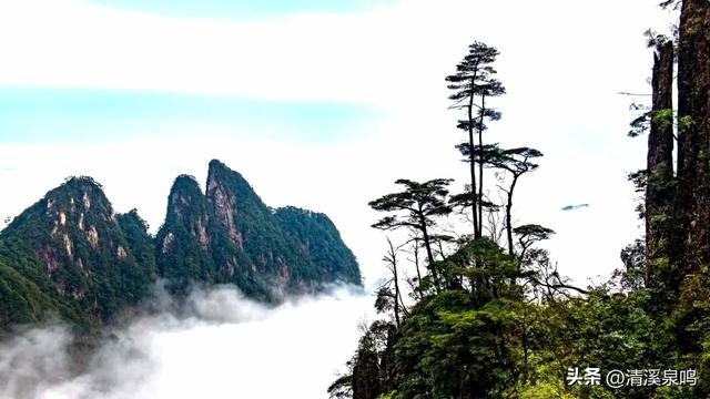 云端之旅——莽山五指峰游记
