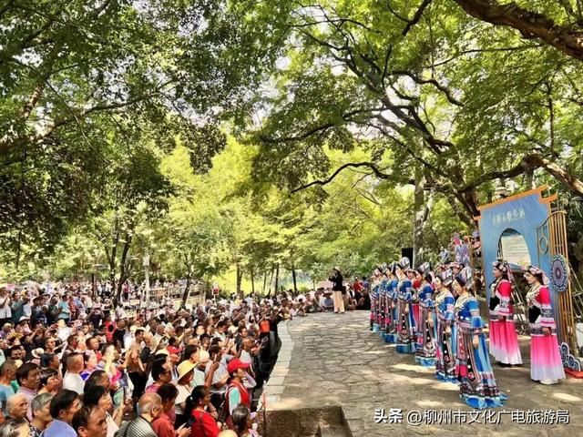 不出远门一样精彩！柳州各大公园日程表出炉，照着玩就对了→