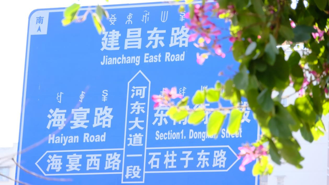 西昌12月“爆改”冬天？这条粉色大道开满了花