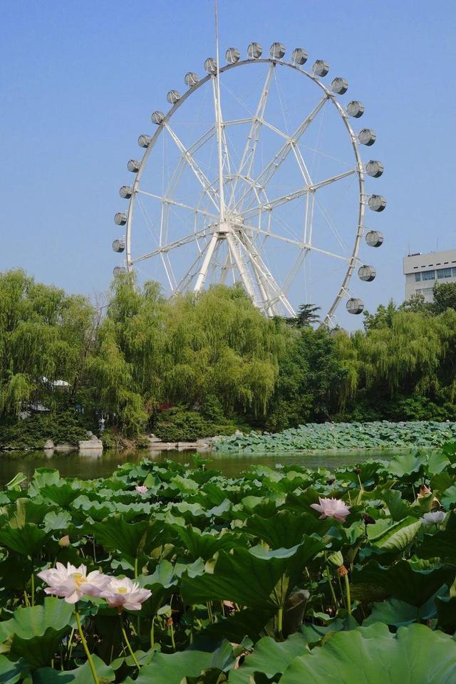 济宁人的“童年大本营”：百花公园摩天轮 转动的记忆匣子