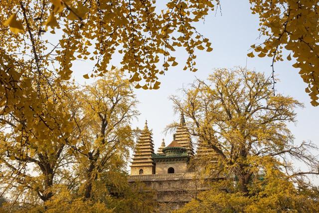 鎏金一瞬，六百年沉默‖北京五塔寺深秋漫行游记