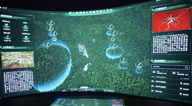 深山藏着的宝藏？舒兰这座博物馆，让你看懂“百草之王”的前世今生