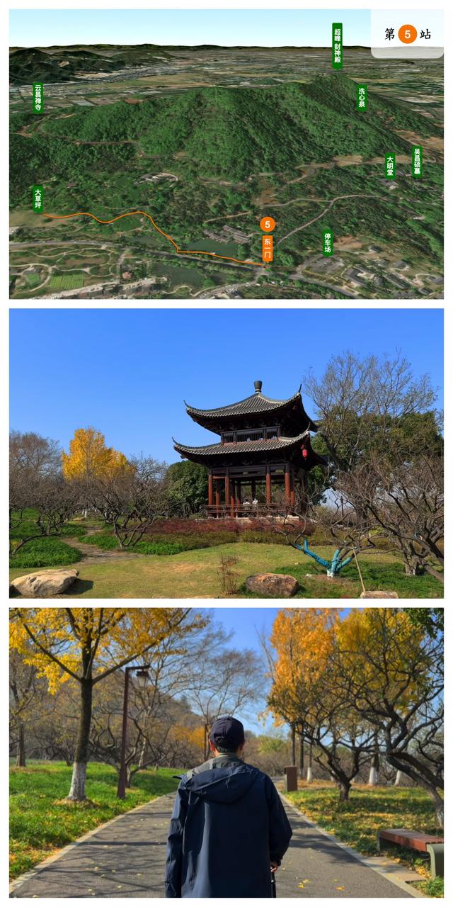 杭州小而美徒步路线：斑斓而沉默的超山，人少景美