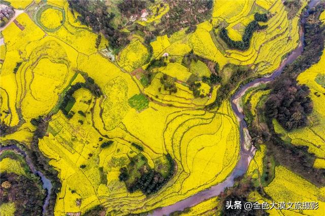 春日爆款！花季限定·2月8日/3月8日出发【花开滇境·七彩云南】8日