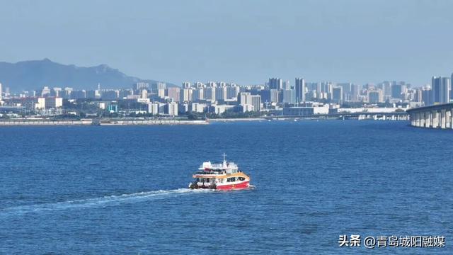 上周末，城阳“海上穿越大桥”环游航线火了！有人专程为它来青岛