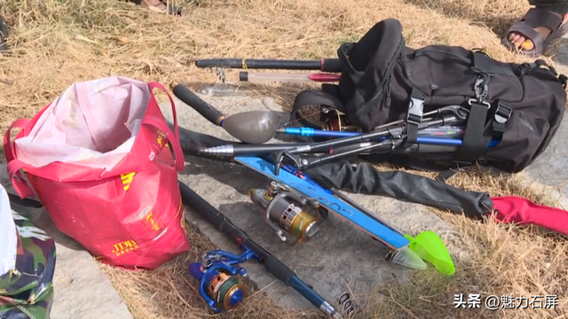 跨越山海的生态之约 奏响人与自然和谐乐章