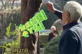 500多万人围观！昆明“夹子音”大爹把野生松鼠喂成“宠物”，火了！图片