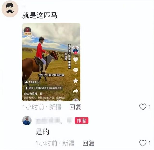 贺娇龙身亡细节曝光：马受惊尥蹶子，蹄踢到她头部，此前疑有征兆