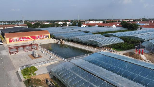 “‘枣’想遇见你”滨州“枣”味采摘路线 | 沾化冬枣、苹果、葡萄……来滨州，为你的假期“加buff”