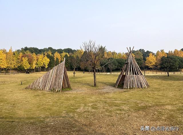 成都城市中的草原牧场，彩林比阿勒泰还美，公交车地铁直达！