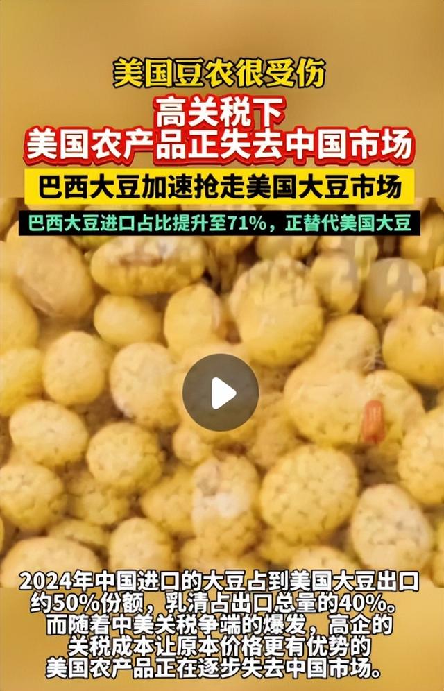 中国开始全面反击: 暂停澳铁矿石进口! 大豆与铁矿关键被中国抓住了