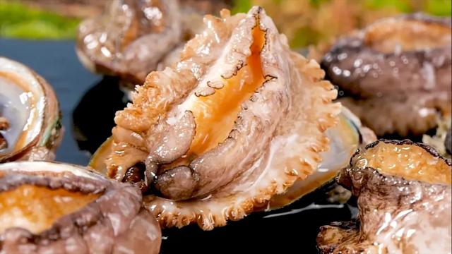 开渔啦!坐着高铁奔向“海鲜自由”,出行攻略已做好