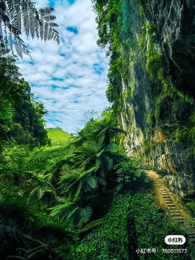 乐山本地人私藏！30个小众打卡地，颜值高还不挤！