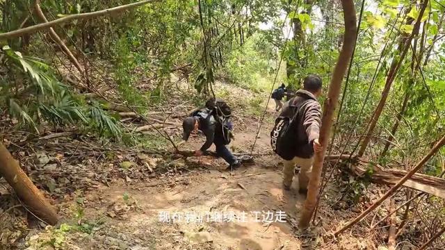 惊险刺激！重庆大渡口小众徒步路线，走完全程需要勇气