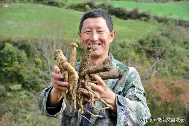 我爱你，文县！