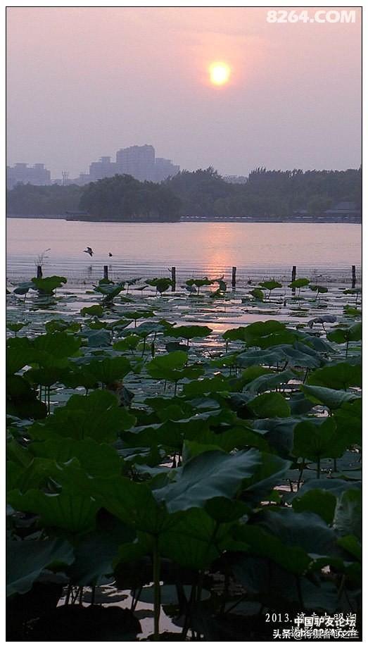 山东行游影记（13）—济南大明湖（二）