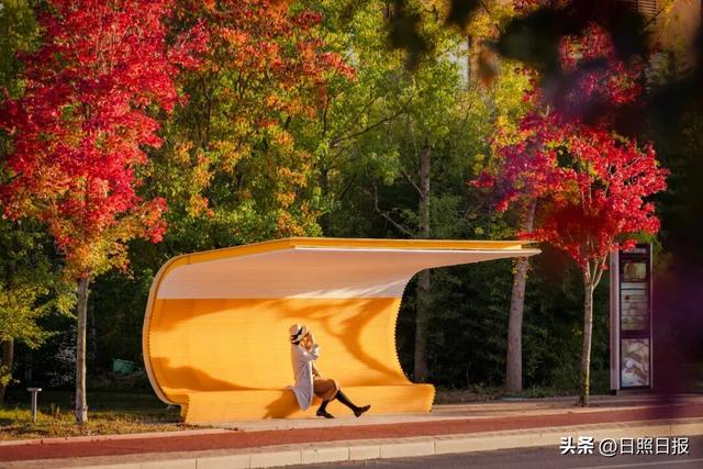 全球榜！中国榜！日照入选