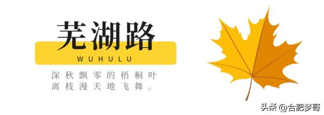合肥市中心:徽州大道“金色大道”一眼回庐州