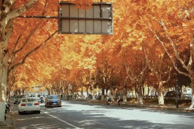 我说白了，萧山你是不是有点过分了！