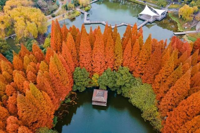 逛起来！8小时10个公园！