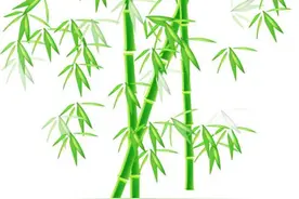 人生：自作善，自求多福；自作孽，自招其祸图片