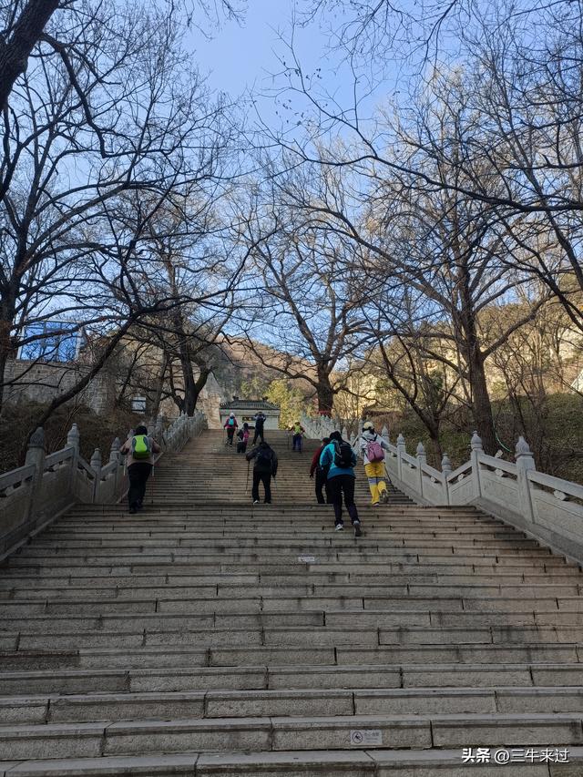 无为在歧路，免费仰天山