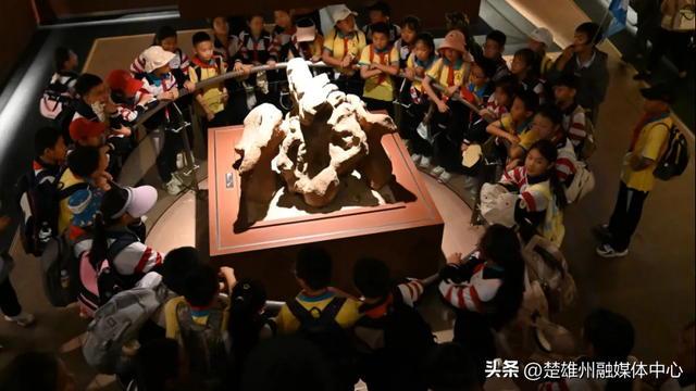 门票减免、研学优惠……禄丰恐龙谷发福利惠及特殊群体