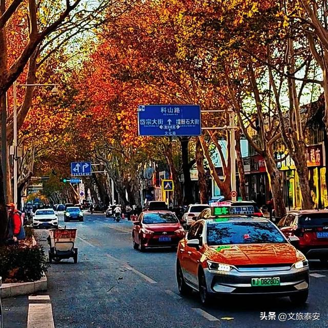 Citywalk街拍点+1!解锁泰安过冬究极浪漫,这条路也许离你不远~